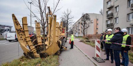 Przesadzają drzewa z Alei Wojska Polskiego
