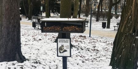 Z myślą o wiewiórkach