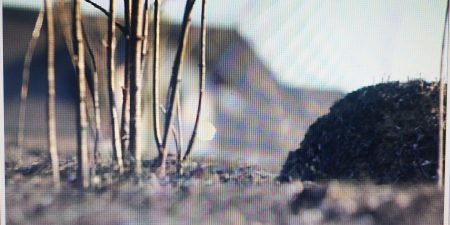 Nielegalny proceder trwa – ku przestrodze