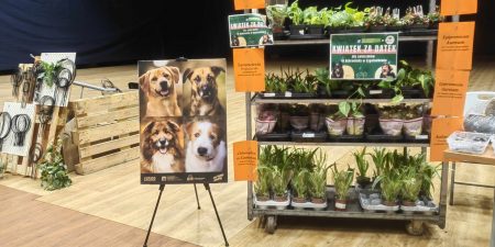 Kwiaty dla zwierzaków