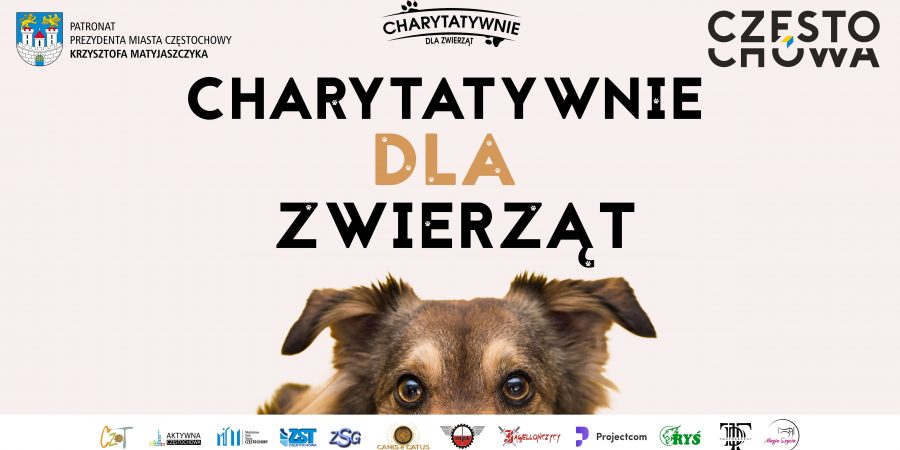 Zrób coś charytatywnie dla zwierząt!