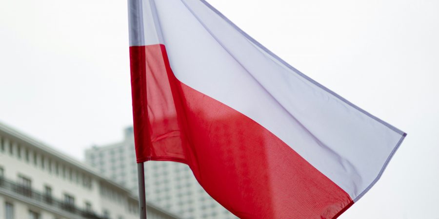 OSPC idzie na wybory!