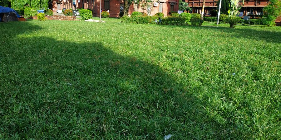 Naszym zdaniem: jeszcze w zielone gramy?